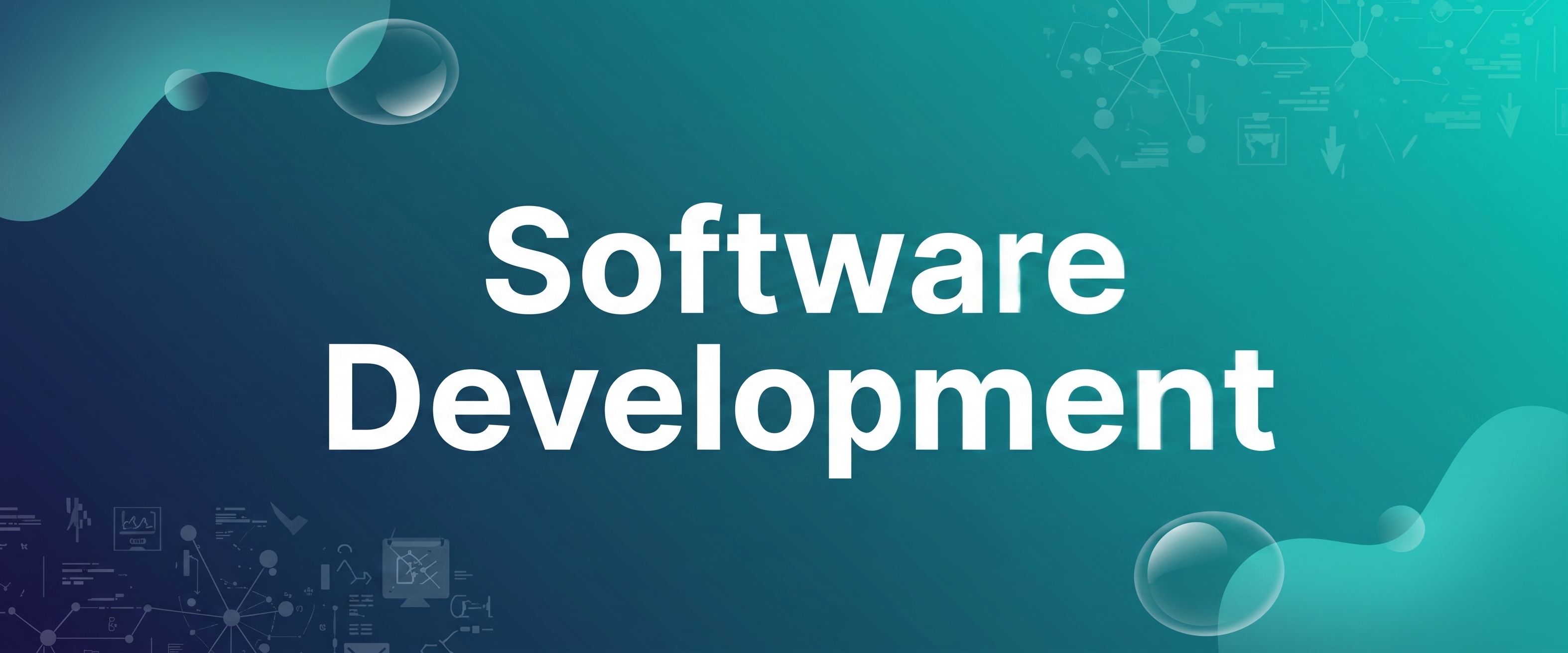 Software Development Price